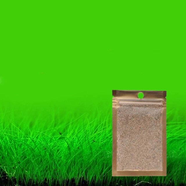 underwater plant seeds Aquarium Plant Seeds Water Aquatic Green Water Grass Decoration Easy P – Creature Popcorn